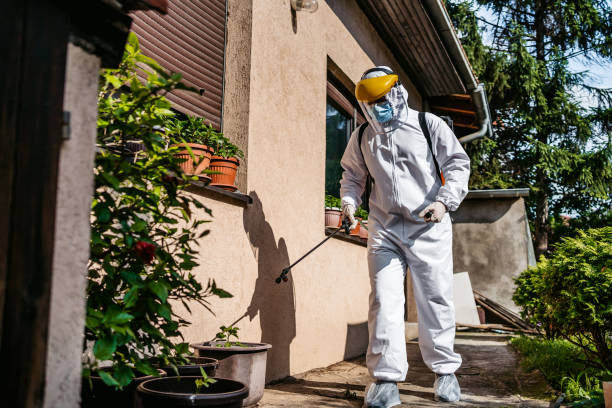 Best Best Pest Control Companies  in Shoreacres, TX
