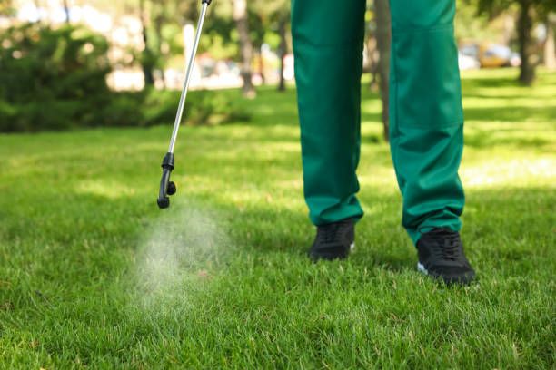 Best Pest Inspection Near Me  in Shoreacres, TX