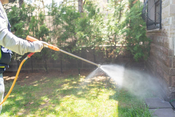 Best Affordable Pest Control Services  in Shoreacres, TX