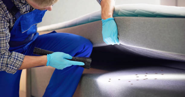 Best Pest Prevention Services  in Shoreacres, TX