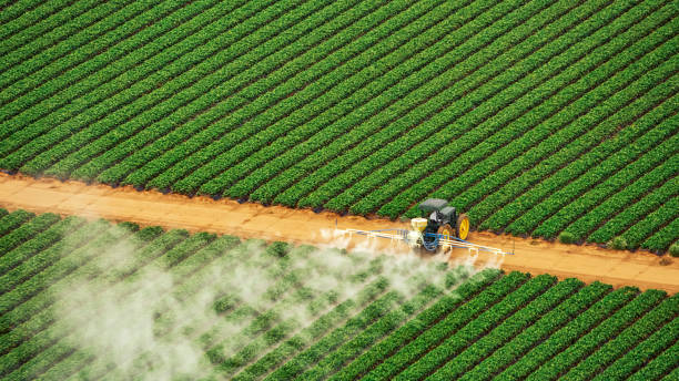 Professional Pest Control in Shoreacres, TX