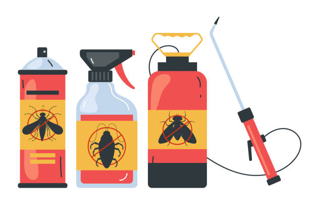 Best Bed Bug Extermination  in Shoreacres, TX
