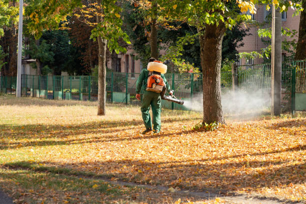 Best Commercial Pest Control Services  in Shoreacres, TX