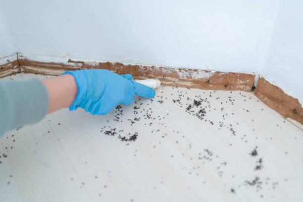 Pest Control for Restaurants in Shoreacres, TX